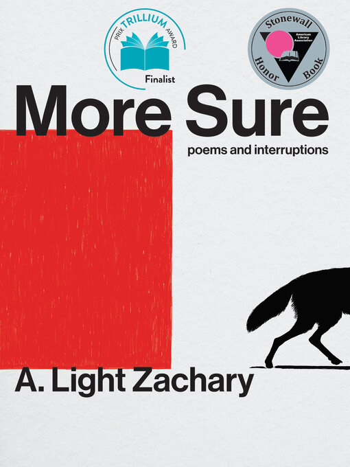 Title details for More Sure by A. Light Zachary - Available
